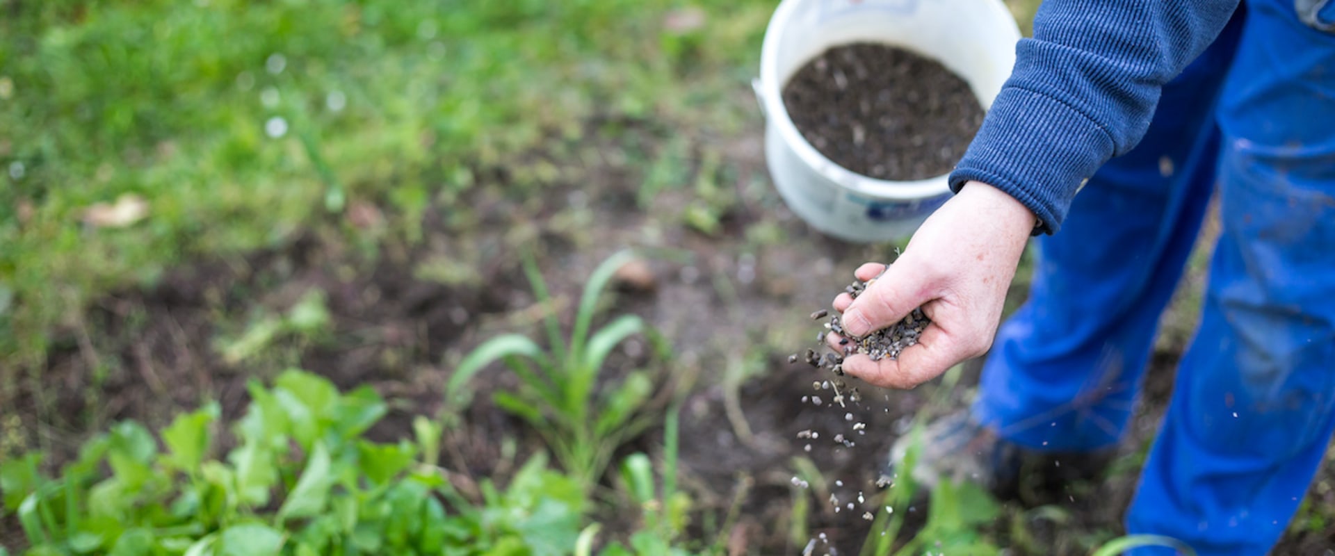 Liquid and SlowRelease Fertilizers An Overview