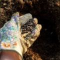 Organic Amendments: How to Boost Your Soil and Increase Yields