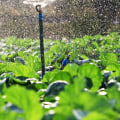 Sprinkler Irrigation: Best Practices for Increasing Crop Yields