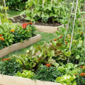 Raised Bed Gardening: A Comprehensive Overview