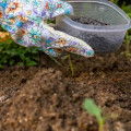 Understanding Soil Additives and Conditioners for Maximum Crop Production