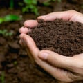 Soil Additives and Conditioners: Maximizing Crop Production