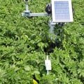 Reducing Pesticide Use on Farms
