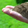 Organic Fertilizers and Amendments: A Comprehensive Overview