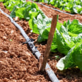 Exploring Drip Irrigation to Increase Crop Yields