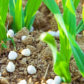 Maximizing Crop Production with Soil Amendments and Fertilization