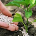 Balanced Nutrient Application Rates