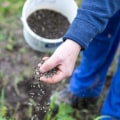 Liquid and Slow-Release Fertilizers: An Overview