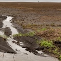 Managing Agricultural Runoff for Sustainable Farming