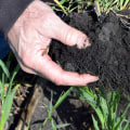 Cover Cropping Techniques to Improve Soil Health and Increase Yields