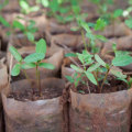 Preventing Soil Erosion - A Comprehensive Guide