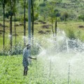 Efficient Irrigation Techniques for Sustainable Farming