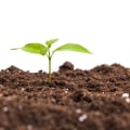 Soil Testing: An Overview of Benefits and Methods