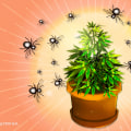 Integrated Pest Management: Maximizing Crop Production