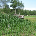 Planting Depth and Spacing for Maximizing Crop Production