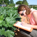 Organic Pest Control Methods for Maximizing Crop Production