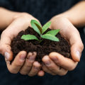 Testing Soil pH Levels: A Comprehensive Overview