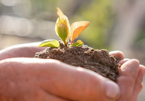 Inorganic Amendments: Understanding Their Benefits for Soil
