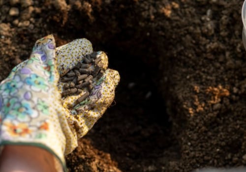 Organic Amendments: How to Boost Your Soil and Increase Yields