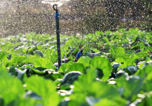 Sprinkler Irrigation: Best Practices for Increasing Crop Yields