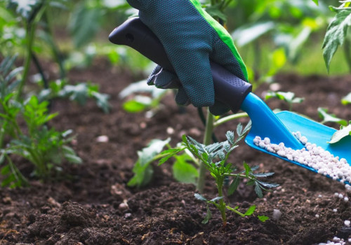 Organic Fertilizers: Everything You Need to Know