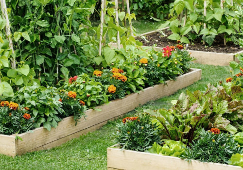 Raised Bed Gardening: A Comprehensive Overview