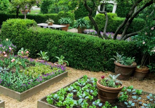 Raised Bed Gardening: Maximizing Crop Production and Planting Techniques