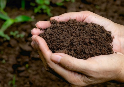 Soil Additives and Conditioners: Maximizing Crop Production
