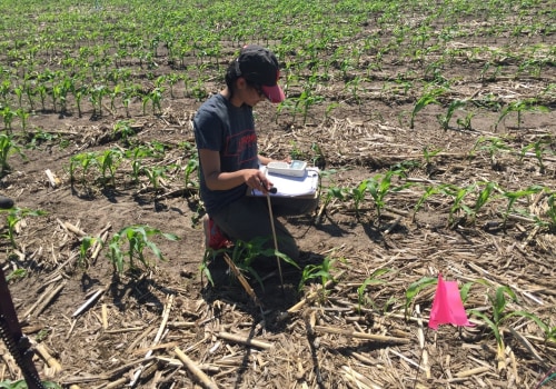 An In-Depth Look at Soil Moisture Sensors and How They Can Increase Crop Yields
