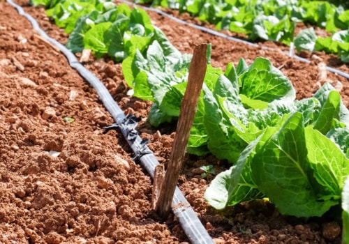 Exploring Drip Irrigation to Increase Crop Yields