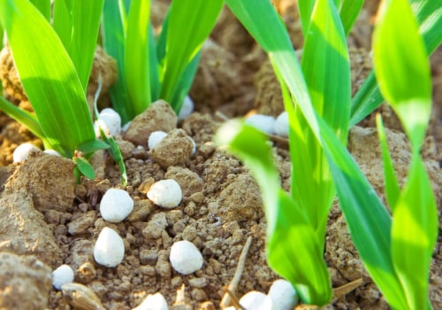 Maximizing Crop Production with Soil Amendments and Fertilization
