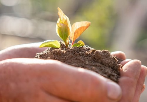 Everything You Need to Know about Soil Conditioners and Amendments
