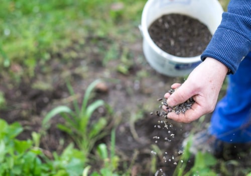 Liquid and Slow-Release Fertilizers: An Overview