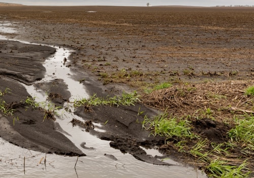 Managing Agricultural Runoff for Sustainable Farming