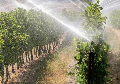 Maximizing Irrigation Efficiency Techniques