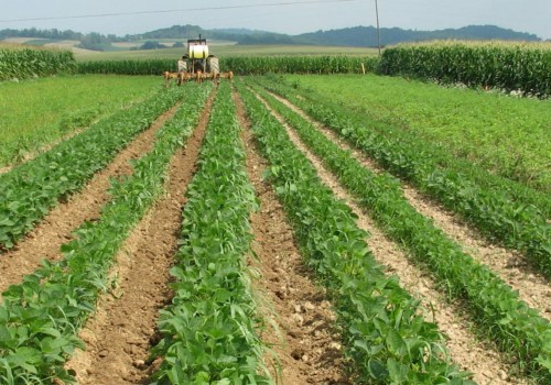 Optimizing Crop Yields Through Crop Rotation