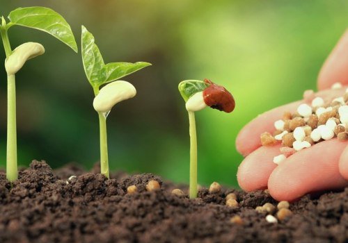 Organic Fertilizers: An Overview of Benefits and Uses