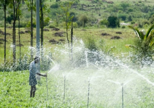 Efficient Irrigation Techniques for Sustainable Farming