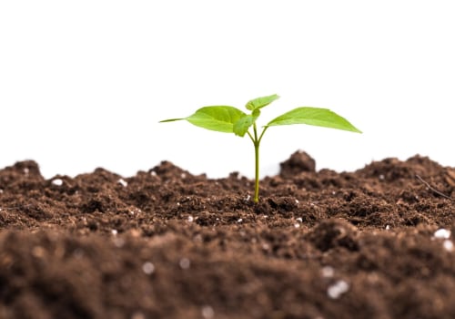 Soil Testing: An Overview of Benefits and Methods