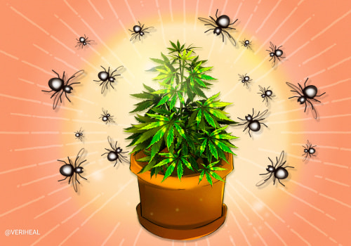 Integrated Pest Management: Maximizing Crop Production