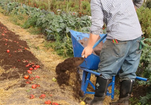 Composting Agricultural Waste: A Sustainable Farming Technique
