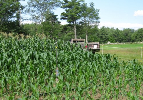 Planting Depth and Spacing for Maximizing Crop Production