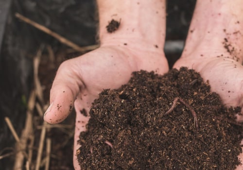 Composting and Vermicomposting for Soil Health Maintenance