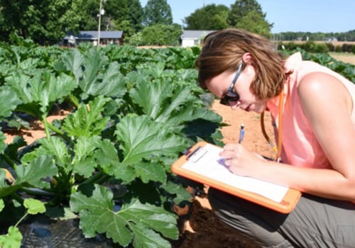 Organic Pest Control Methods for Maximizing Crop Production