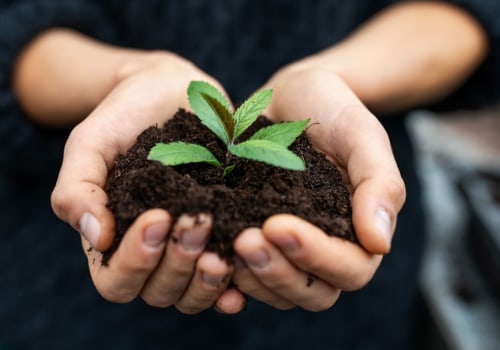 Testing Soil pH Levels: A Comprehensive Overview
