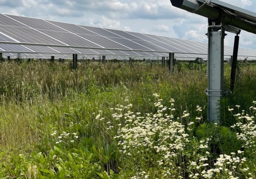 Exploring the Benefits of Solar Energy Systems for Farms
